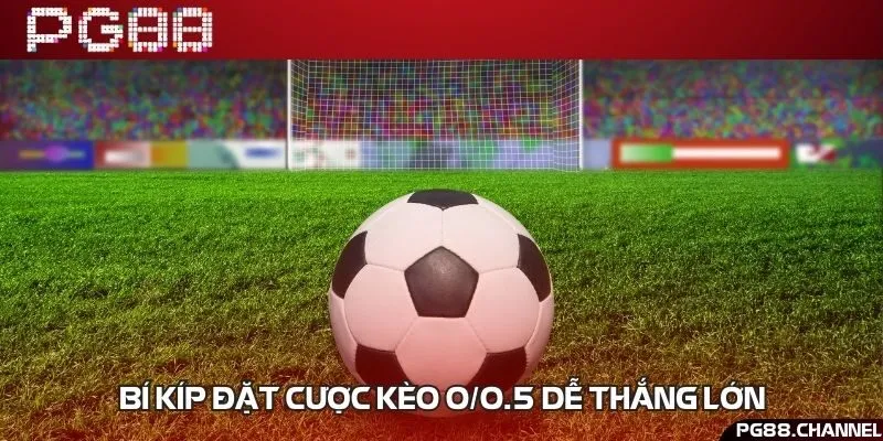 5 chiến lược đơn giản nhưng dễ dàng trúng lớn