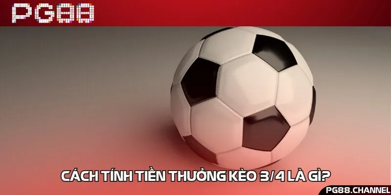 Cách thức tính điểm trong mỗi ván đặt cược