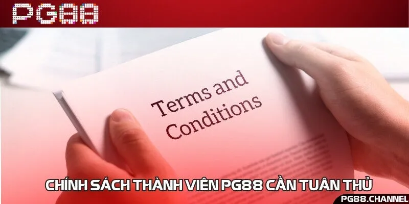 Nghĩa vụ của người chơi đối với hoạt động đặt cược trực tuyến