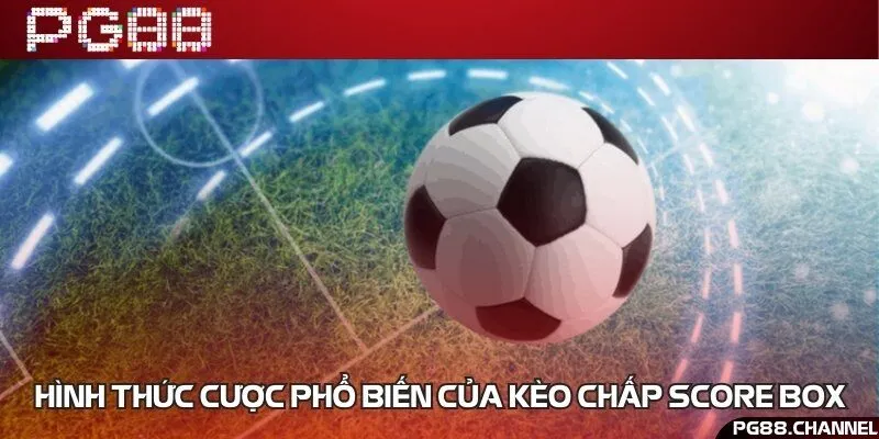 Những loại cược cơ bản trong kèo chấp score box bóng đá nên biết